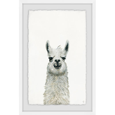«Llama Close-up», reproduction encadrée