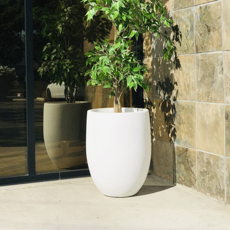 Pot à fleurs en béton Gethsemane, Blanc pur, H 21,7 po x l 17 po x P 17 po