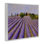 «Lavender Fields Farmland», estampe numérique, design par Tim Coffey