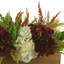 Fall Hydrangea Arrangement In Wooden Basket