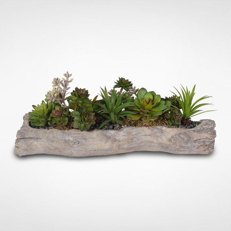 Faux Succulent Plant in Cement Pot