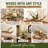 Natural California Driftwood Branch, 36-Inch