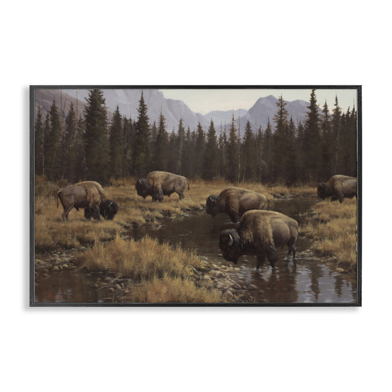 Bison sauvage broutant au ruisseau, estampe numérique, conception de Paco Young, H 12 po x l 18 po