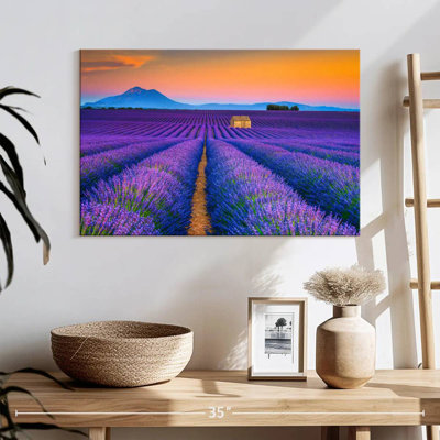 Alvord superbe champ de lavande Valensole
