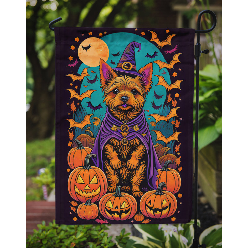 Jakameron Double Sided Polyester Halloween Garden Flag, 15.5" x 11.25"