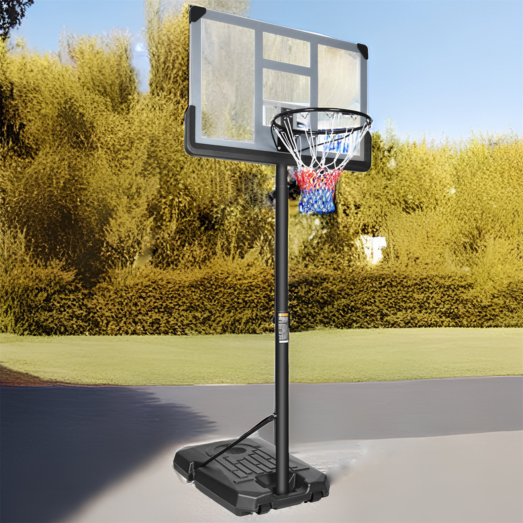 TONWIN Portable In-Ground Basketball Hoop - Wayfair Canada
