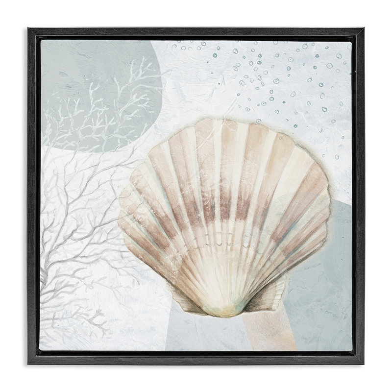 «Seashell Circle», art mural encadré flottant par Patricia Pinto, Cadre flottant noir de jais, H 18 po x l 18 po