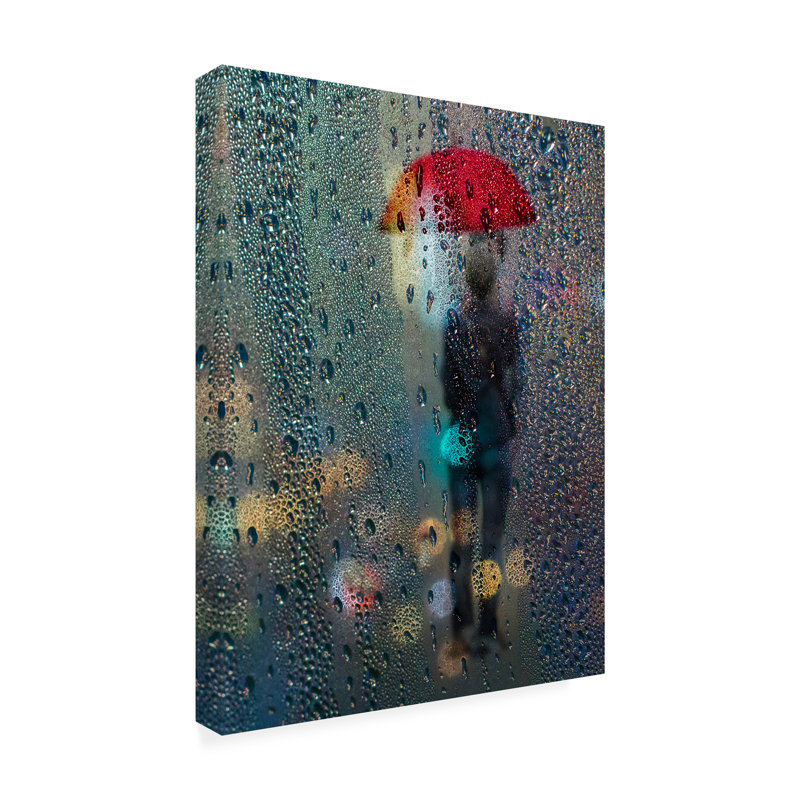 Richard Adams  Behind The Mist Canvas Art, 19" H x 14" W
