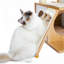 Maison dans un arbre à chat 35 po-117068837