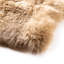 Lalo Sheepskin Area Rug-1625574373