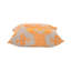 Square Pillow Cover & Insert