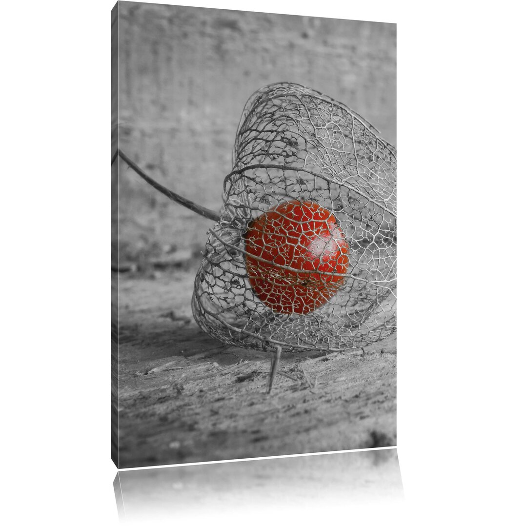 Leinwandbild Leckere Physalis in Schale