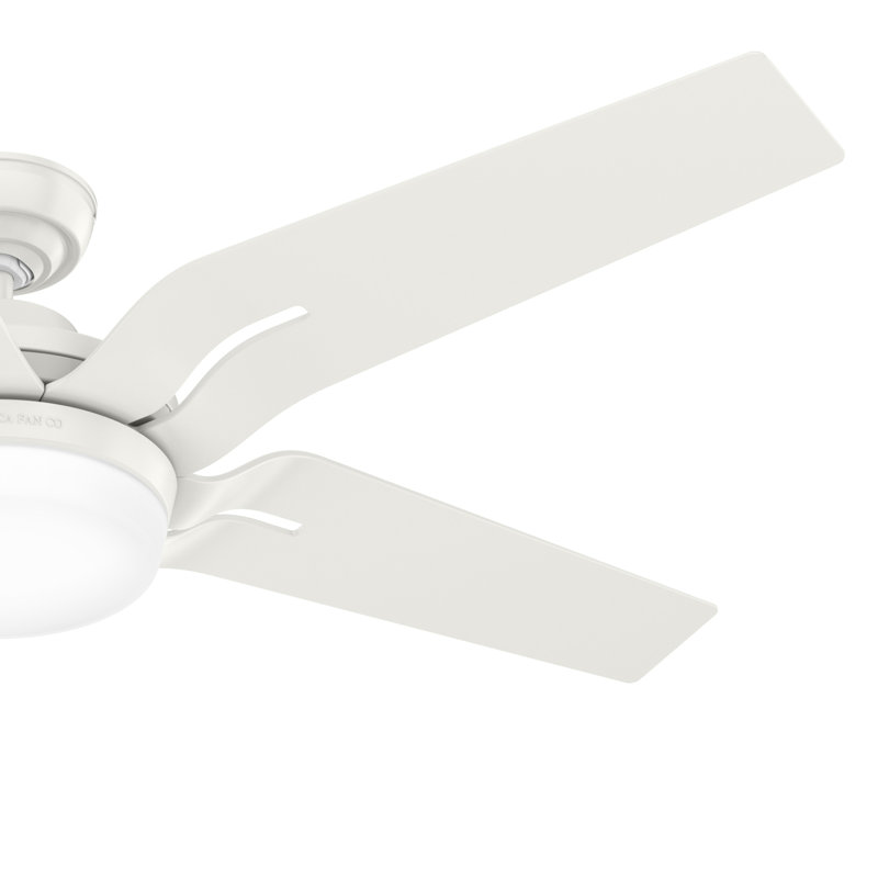 56" Correne 5 - Blade LED Standard Ceiling Fan with Remote Control and Light Kit Included, White