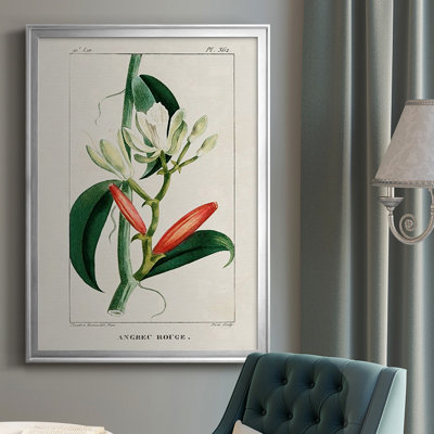 " Turpin Tropical Botanicals IX "