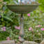 Bain d'oiseaux sur piédestal en métal Mattison-1137141327