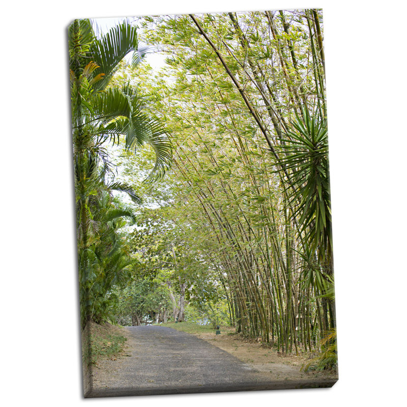 " Tropical Path II " Print, 24" H x 16" W x 0.75" D, Wrapped Canvas