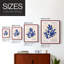 Matisse CLV III, reproduction encadrée - bois massif-285503918-285503919