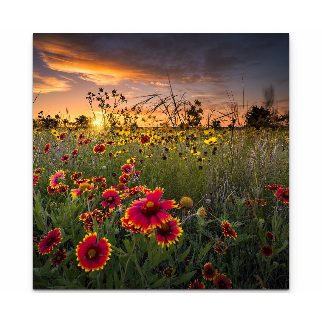 Leinwandbild Bunte Wildblumenwiese im Morgengrauen