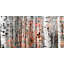 "tree ski" par parvez taj,, reproduction d’art sur bois blanc-336329013
