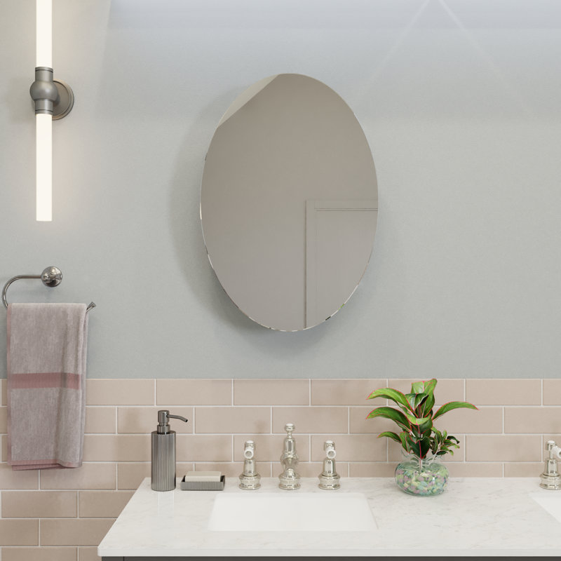 Fife 450mm W 650mm H Surface Frameless Medicine Cabinet Mirror 1 Fixed
