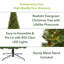 Arbre de Noël vert avec plumes de pin et DEL-313432073