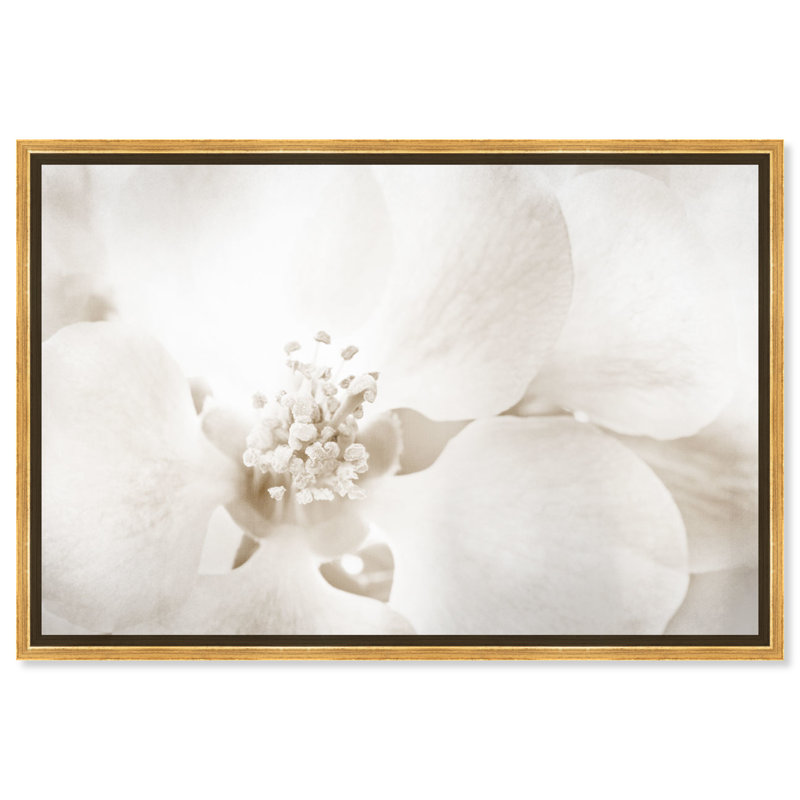 «Floral and Botanical Orchid Love», reproduction d'art graphique sur toile, Impression encadrée, H 36 po x l 54 po, Doré