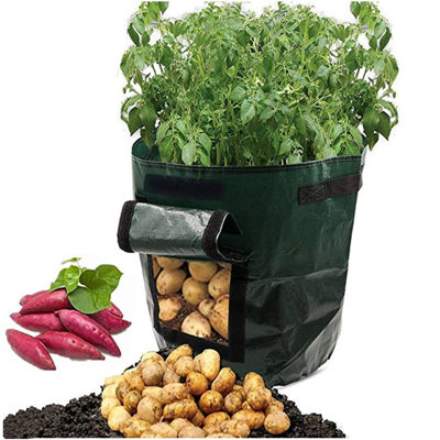 Anqi Pot Planter