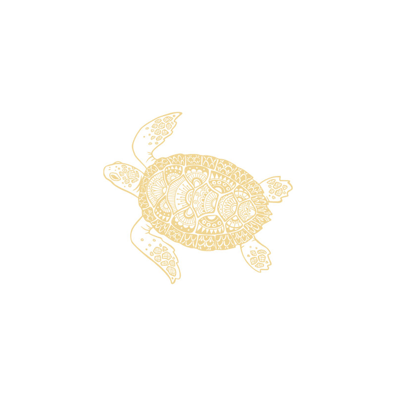 Décalcomanie murale autocollant en écaille tortue, Crème