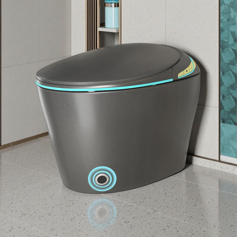 Smart One-Piece Toilet With Bidet, Auto Open/Close Seat, Warm Water & Dryer, Hands-Free Operation, Grey