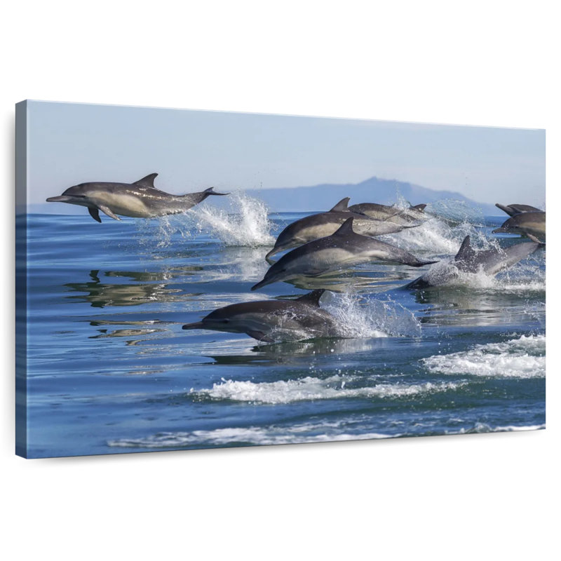 Crowle Dolphin Pod