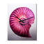 Horloge murale Javoris - Nautilus-741795185