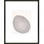 No. 272 Print by Katy Montica-305043513-305043519