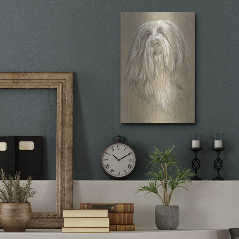 "Bearied Collie" par Barbara Keith, H 16 po x l 12 po