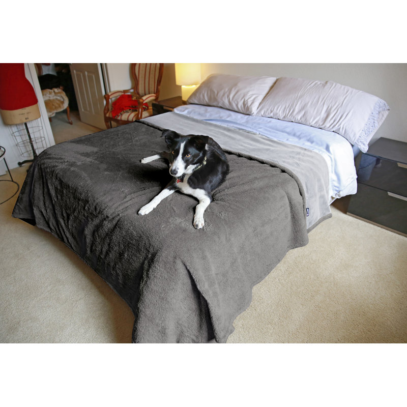 Couverture imperméable pour chiens Catalonia, Gris clair / Gris foncé, L 80 po x L 90 po