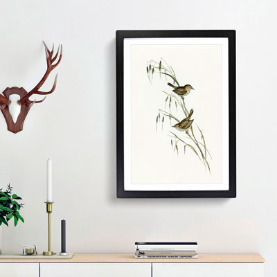 Field Reed Lark by Elizabeth Gould - Picture Frame Art Print