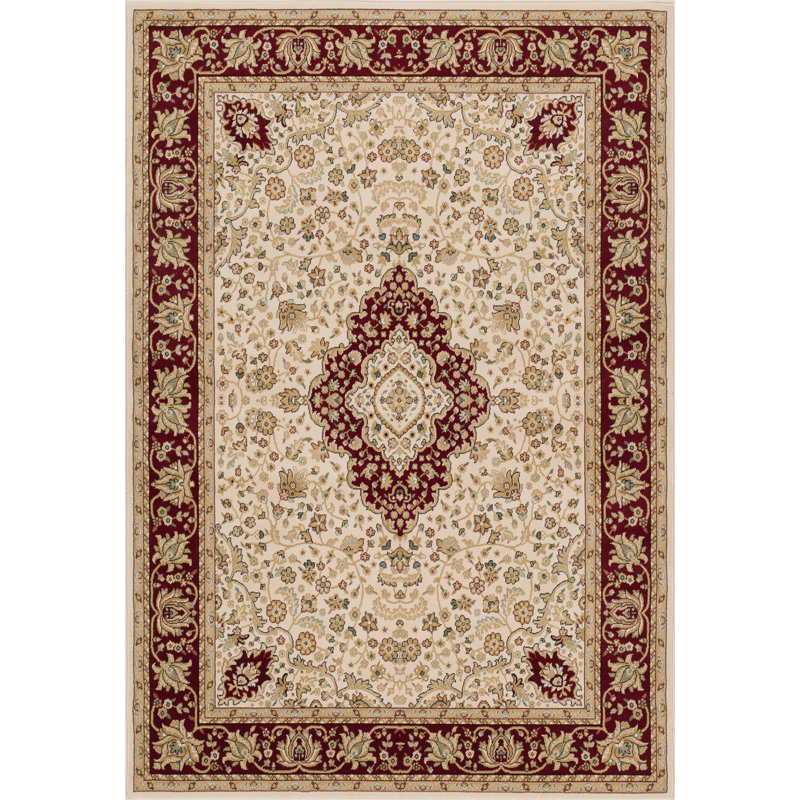 Aiyla Oriental Indoor Rug, Rectangle 5' x 7'