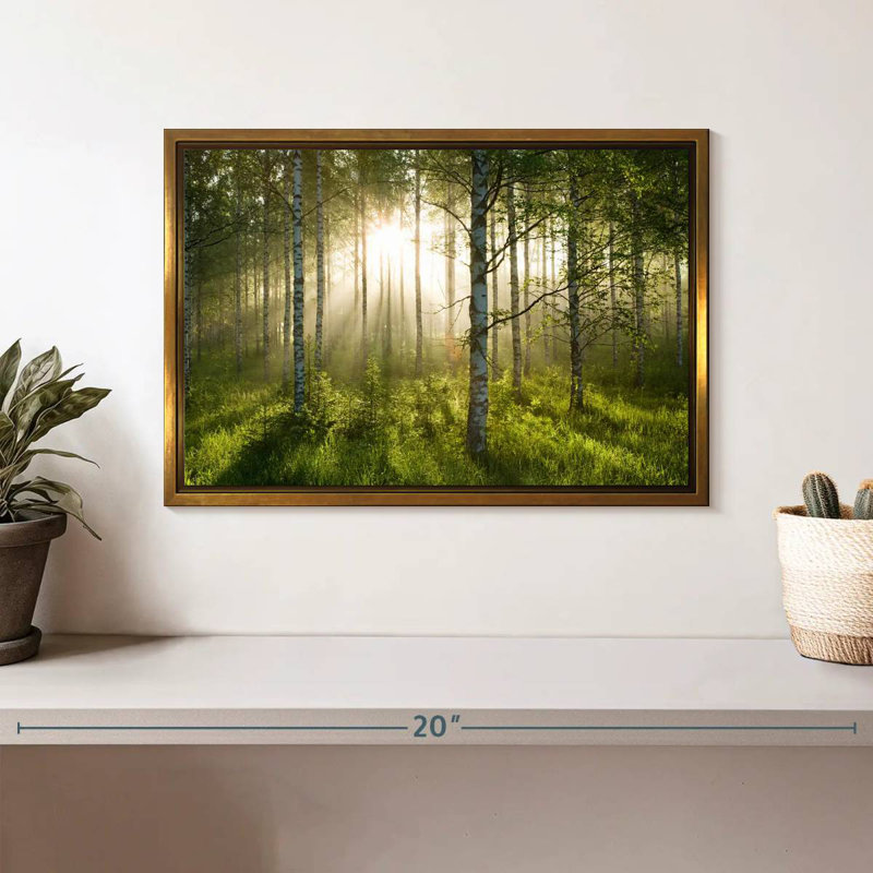 Birch Forest Sunlight, Cadre flottant doré, 13 po x 9 po