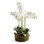 Phalaenopsis Orchid Bowl Drop-In 20"