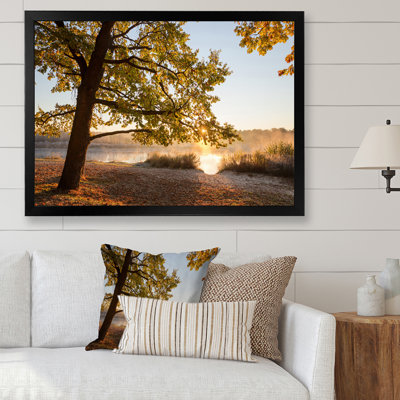 " Sunrise On Autumn Trees By The Lake II "