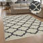 Huynh Oriental Area Rug-660359866