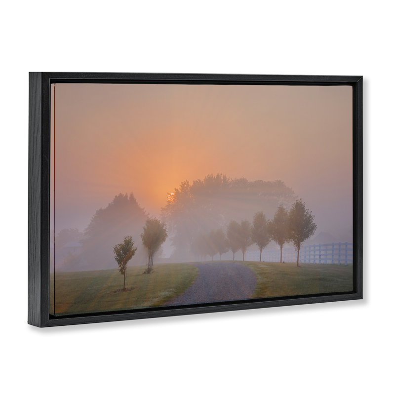 «Grove Path at Sunset Floater» par Marty Hulsebos, Cadre flottant noir de jais, H 17 po x l 25 po