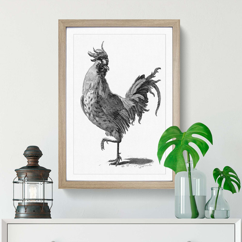 A Cock in Black and White by Johan Teyler - Framed Print, 33cm H x 24cm W x 2cm D, Oak Framed