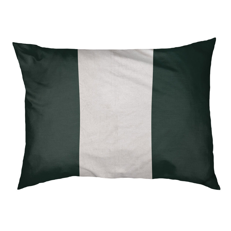 Coussin Cleveland, Petit (l 28 po x P 18 po x H 6 po), Vert/blanc