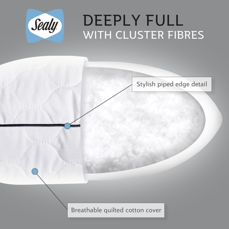 Sealy Deeply Full Pillows 2 Pack