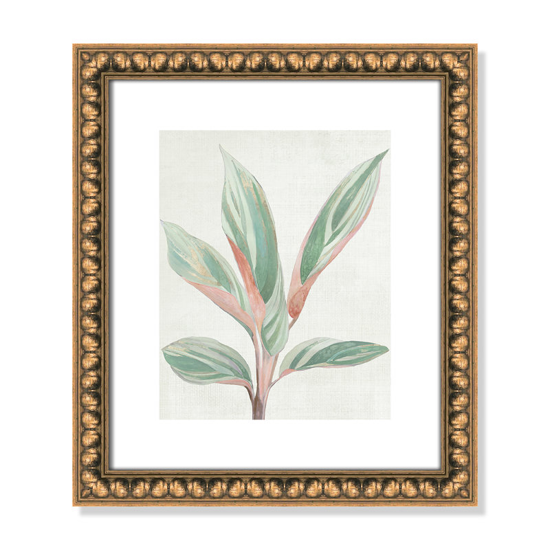 Ginger Plant I - reproduction d'art, Papier avec cadre à perles dorées, H 15 po x l 13 po x P 1,13 po