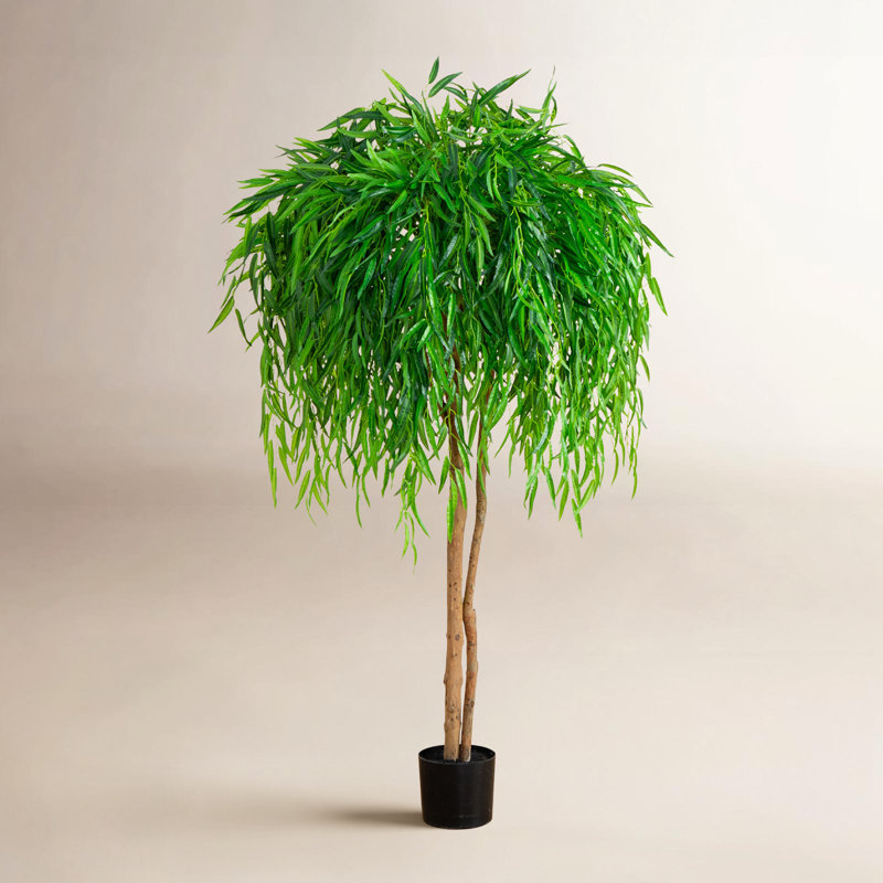 Willow Artificial Tree (Real Touch), 60" H x 36" W x 36" D