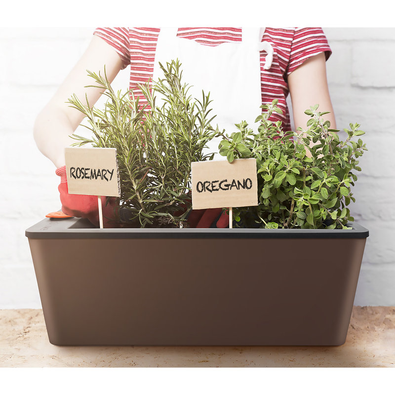 Self-Watering Planter Box, Brown