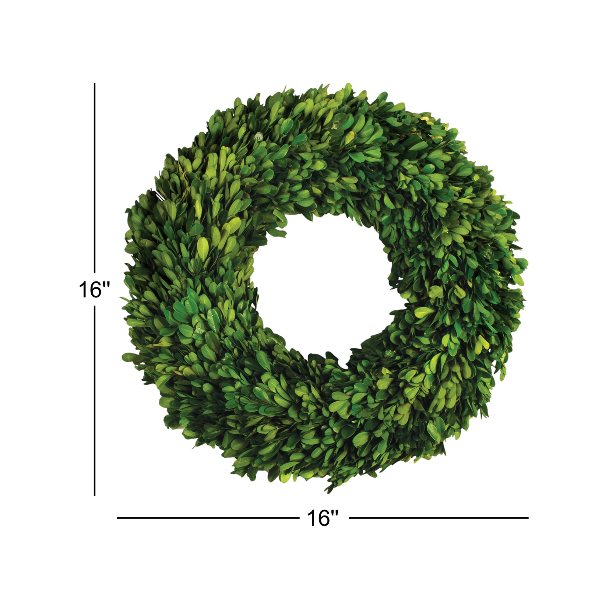 Alby Preserved Boxwood Wreath, 16" H x 16" W x 2.75" D