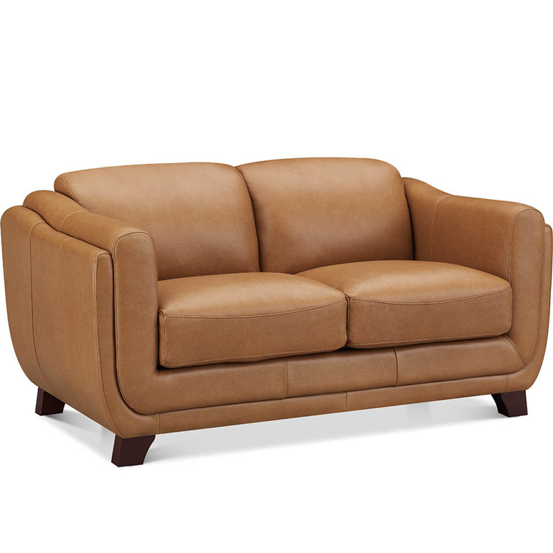 Nyx Top Grain Leather Loveseat