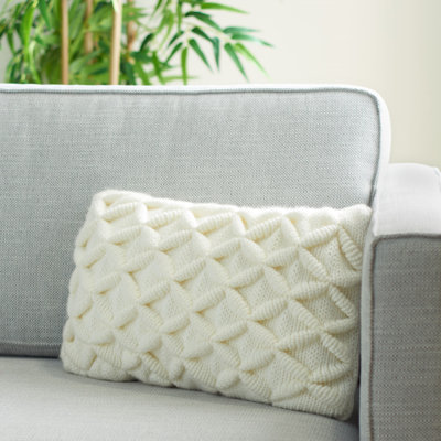  Pillow Cover & Insert